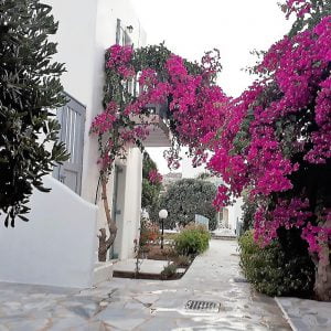 dream-house-mykonos-10