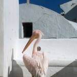 mykonos-greece-09