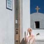 mykonos-greece-27