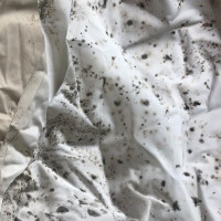 B.before-mold-01