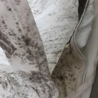 C.before-mold-02
